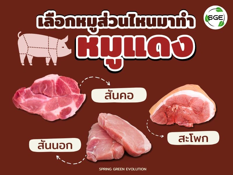 เลือกหมูส่วนไหนมาทำหมูแดง