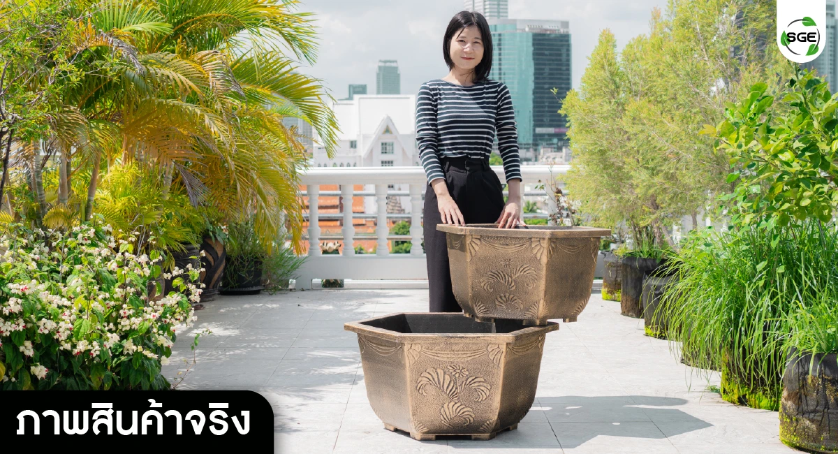 กระถางหกเหลี่ยม มี 2 ขนาดให้เลือก
