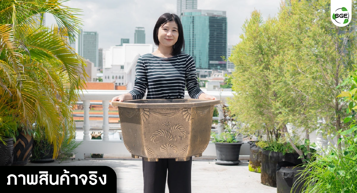 กระถางหกเหลี่ยม รีวิวสินค้าจริง