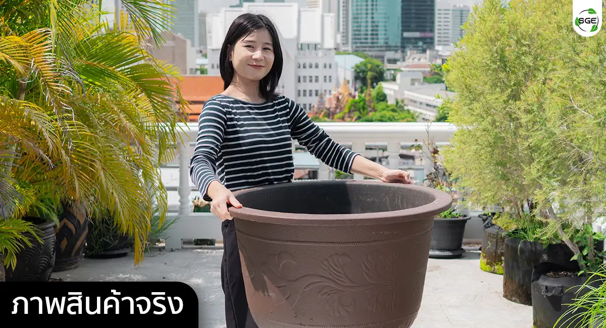 Banner-PD-Red Dragon Pot (10) กระถางพลาสติกใบใหญ่