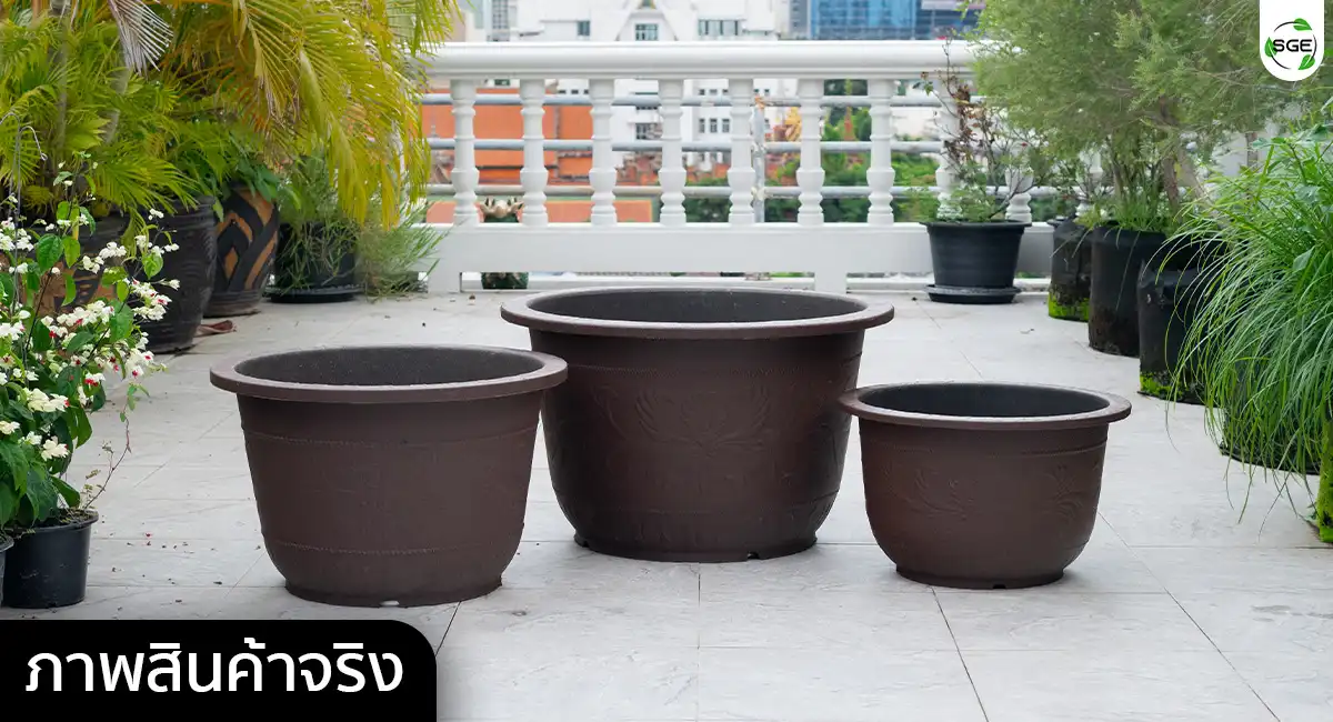 Banner-PD-Red Dragon Pot (9) กระถางพลาสติกใบใหญ่