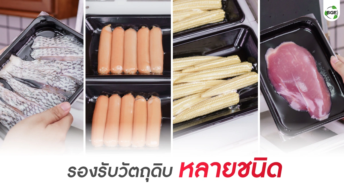 ECO-24-feture banner03-100