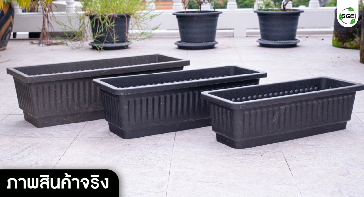 Europian pot-real product02-100