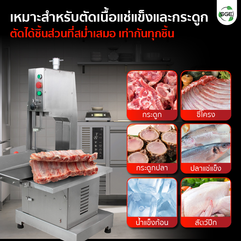 Feture-MB-BC31-21-S-02-100