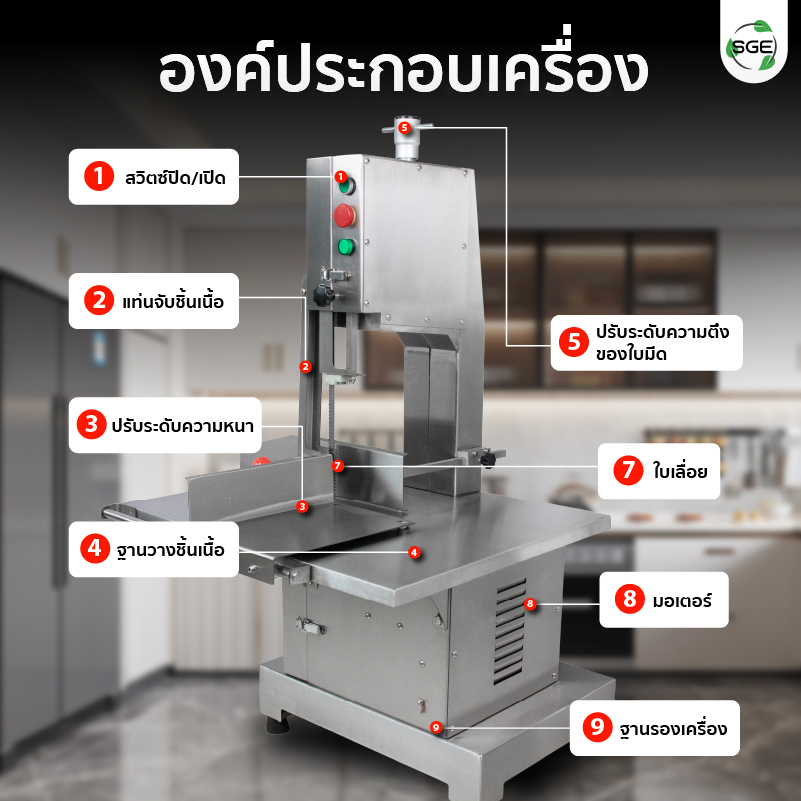 Feture-MB-BC31-21-S-04-100