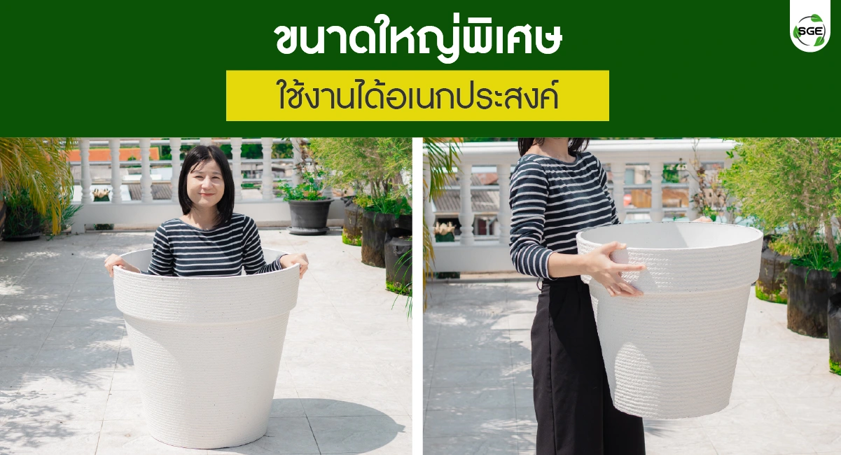 Feture-Minimal White Pot-03-100