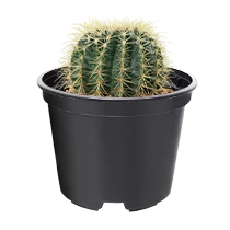POT-C210x210