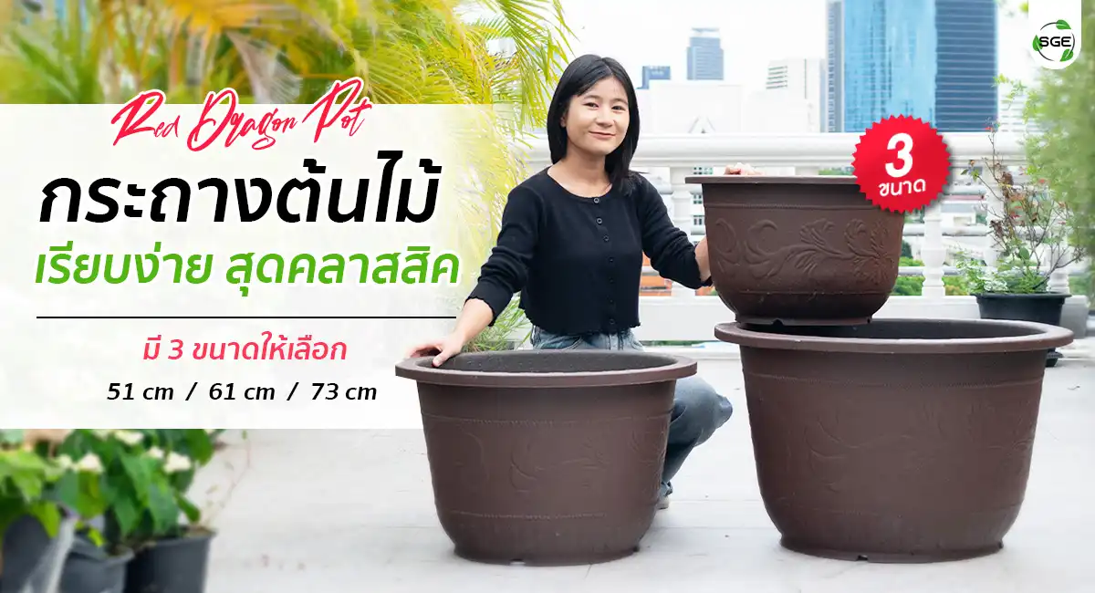 Red-Dragon-Pot-001