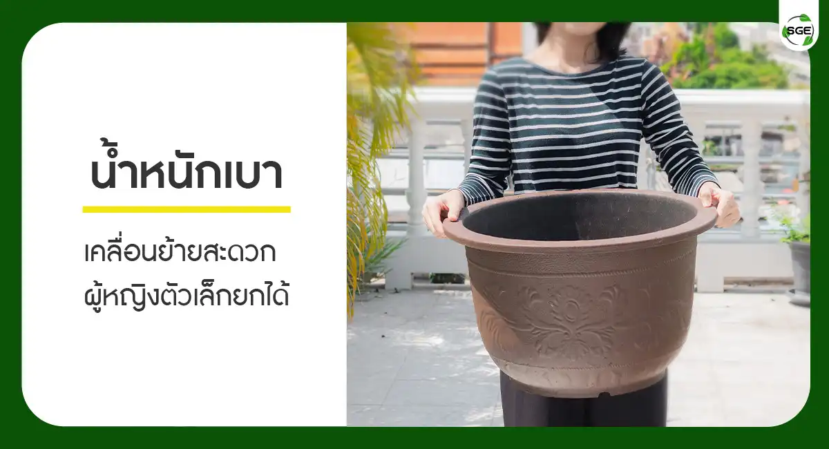 Red-Dragon-Pot-003