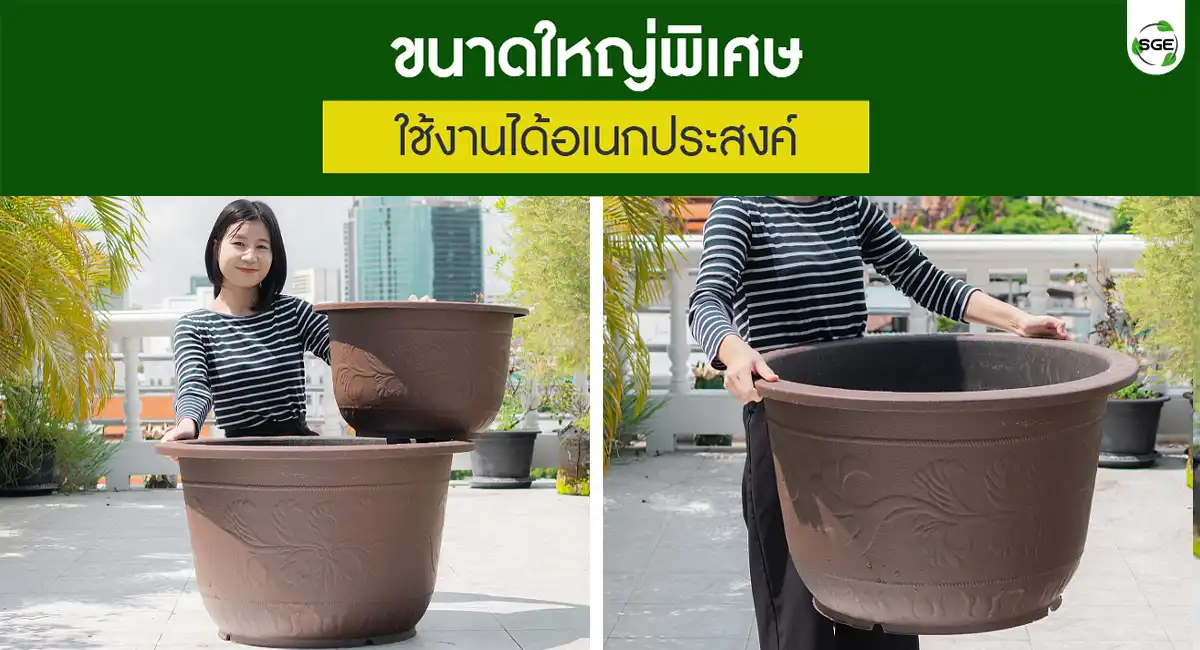Red-Dragon-Pot-004