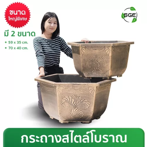 THUMBNAIL PRODUCT-Ancester-01