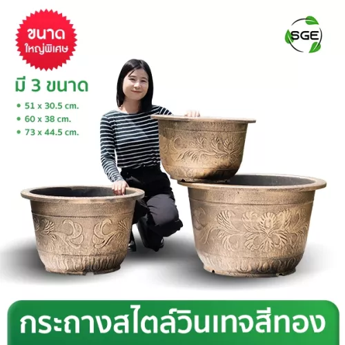THUMBNAIL PRODUCT-Golden Dragon Pot