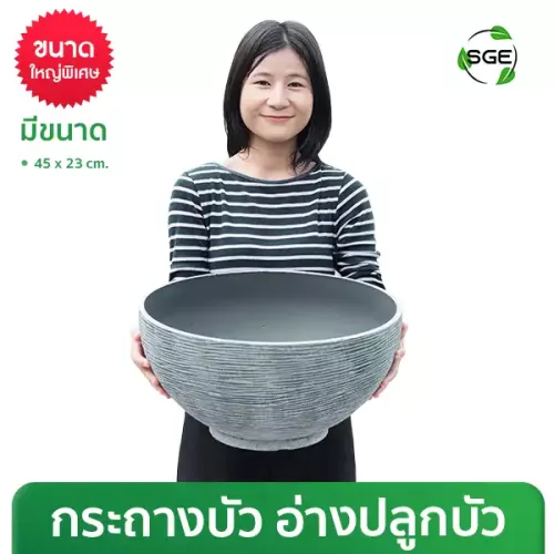 กระถางบัว กระถางบัวพลาสติก