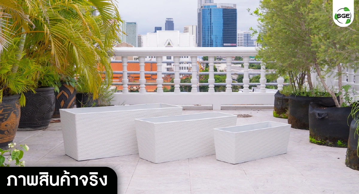 White wave Pot-real product01-100