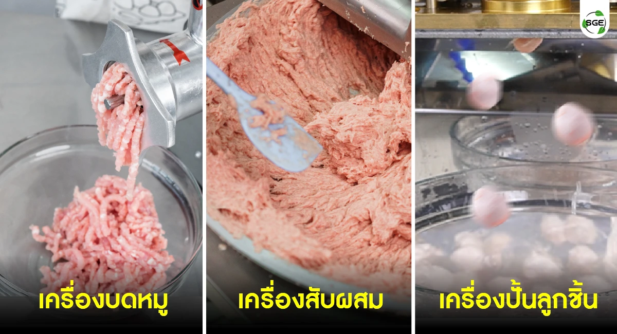 article-fish ball 01-100