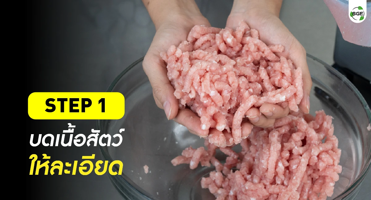 article-fish ball 02-100