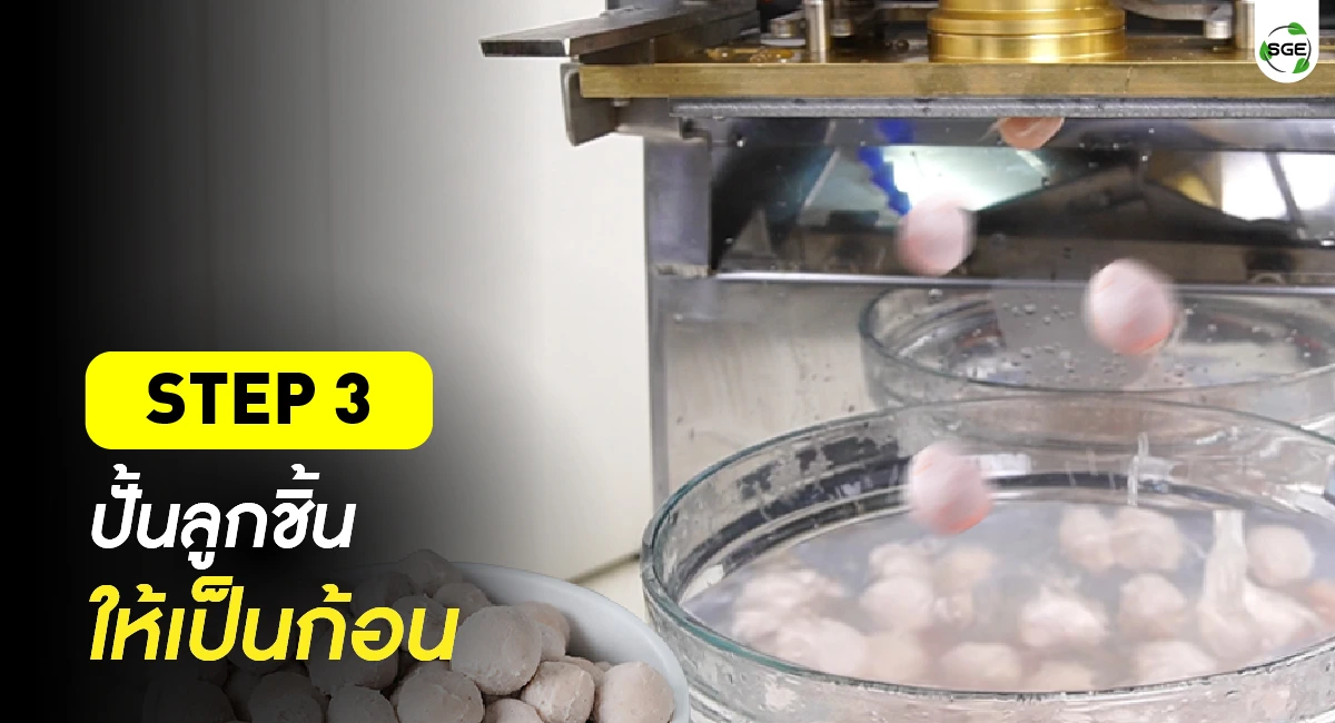 article-fish ball 04-100