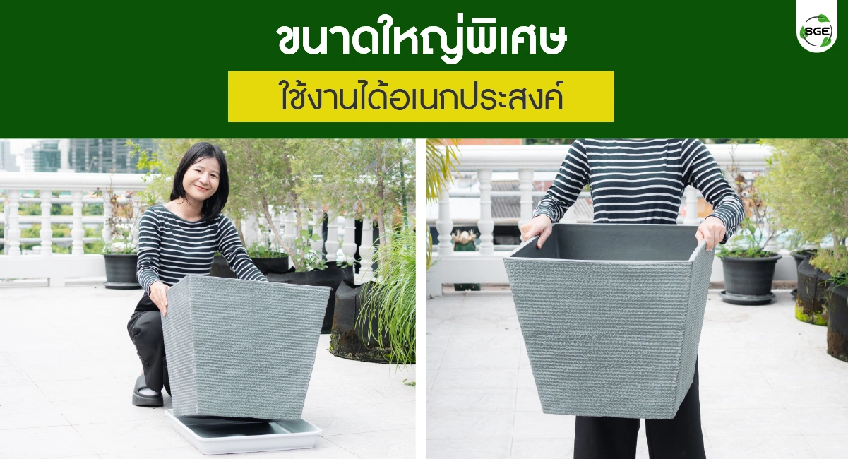 feture-gray wave pot02-100