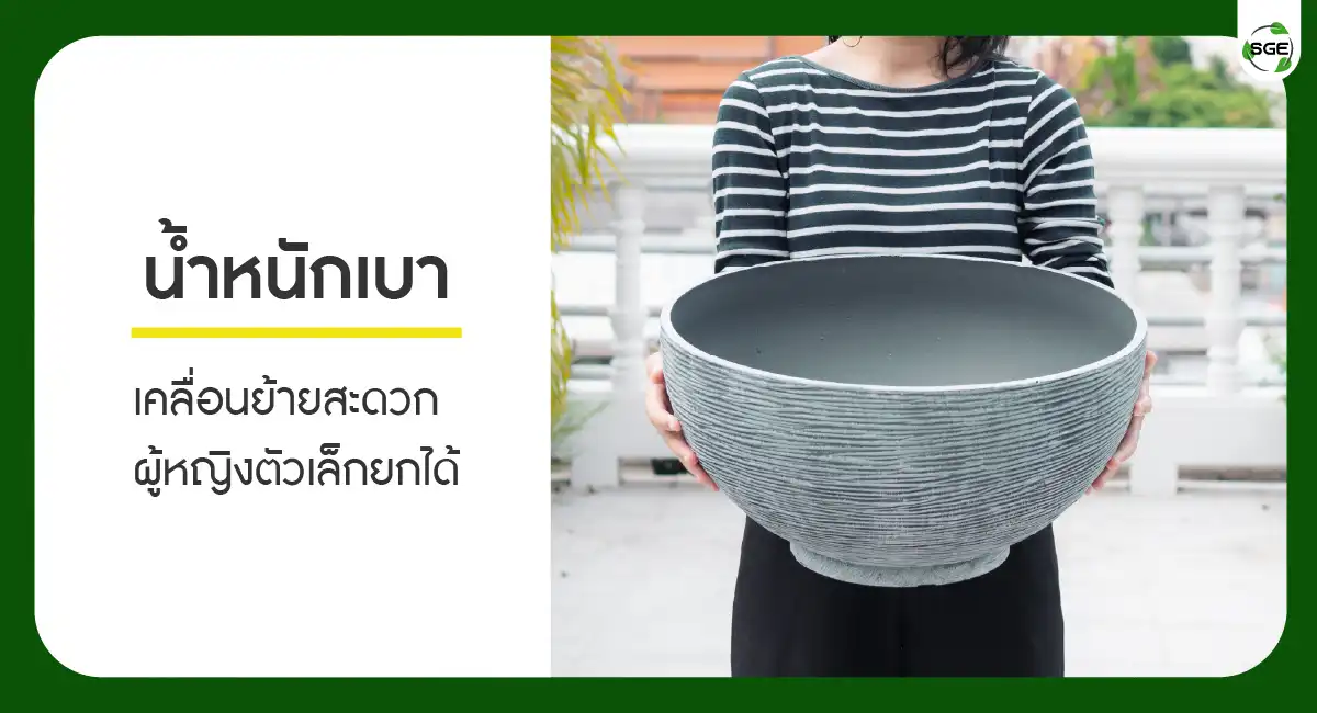 กระถางบัว กระถางบัวพลาสติก น้ำหนักเบา เคลื่อนย้ายสะดวก