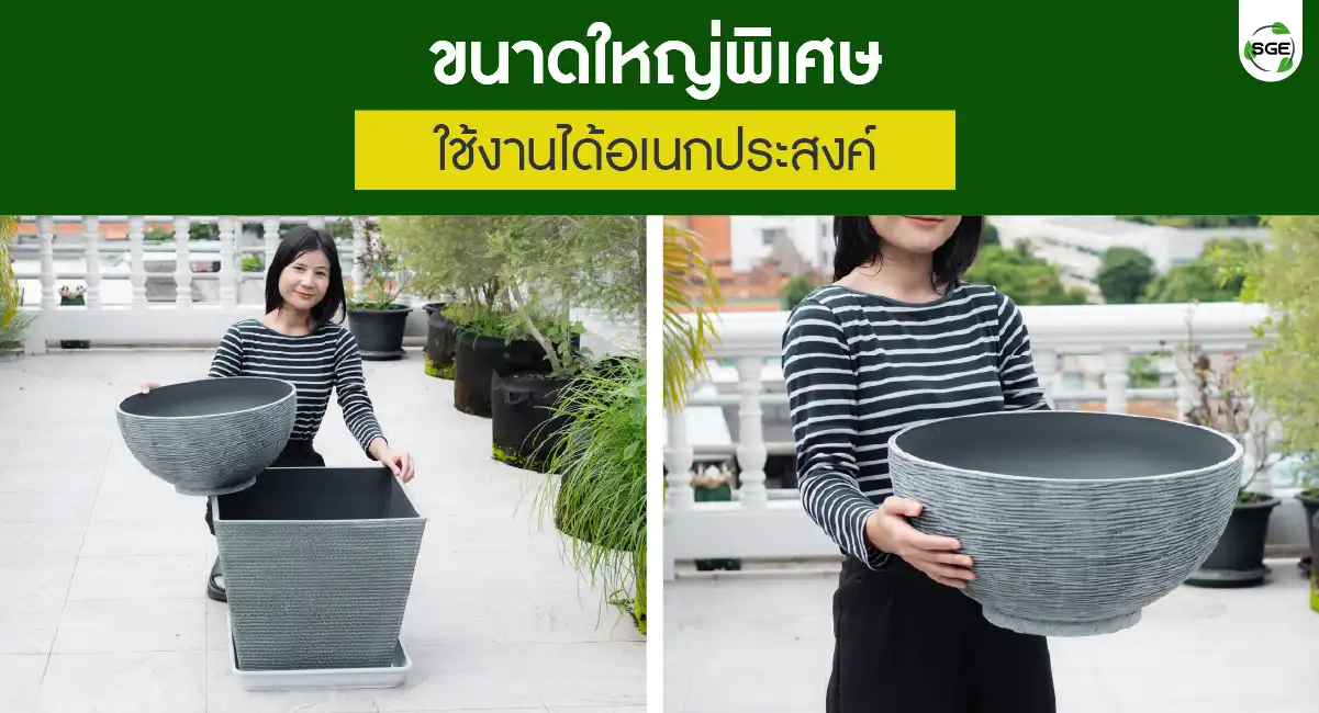 กระถางบัว กระถางบัวพลาสติก ขนาดใหญ่ ใช้งานได้อเนกประสงค์