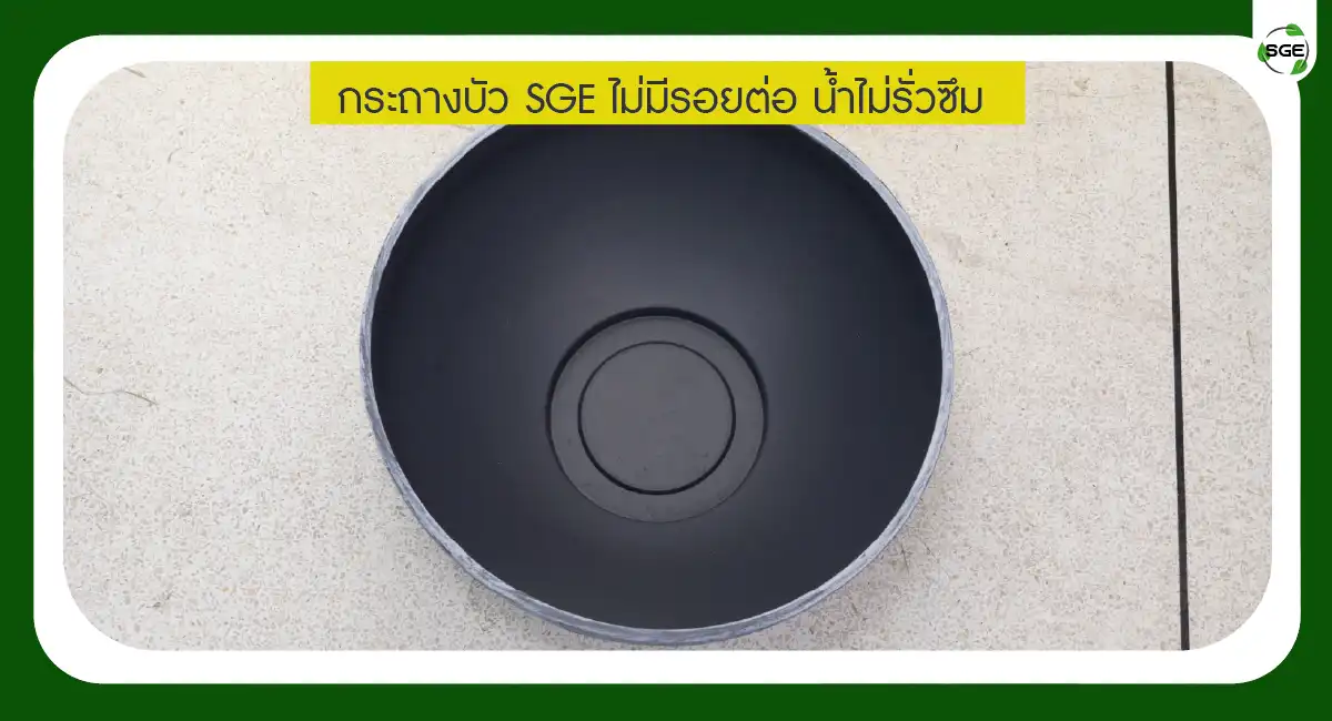 กระถางบัว กระถางบัวพลาสติก ไม่มีรอบต่อ น้ำไม่รั่วซึม