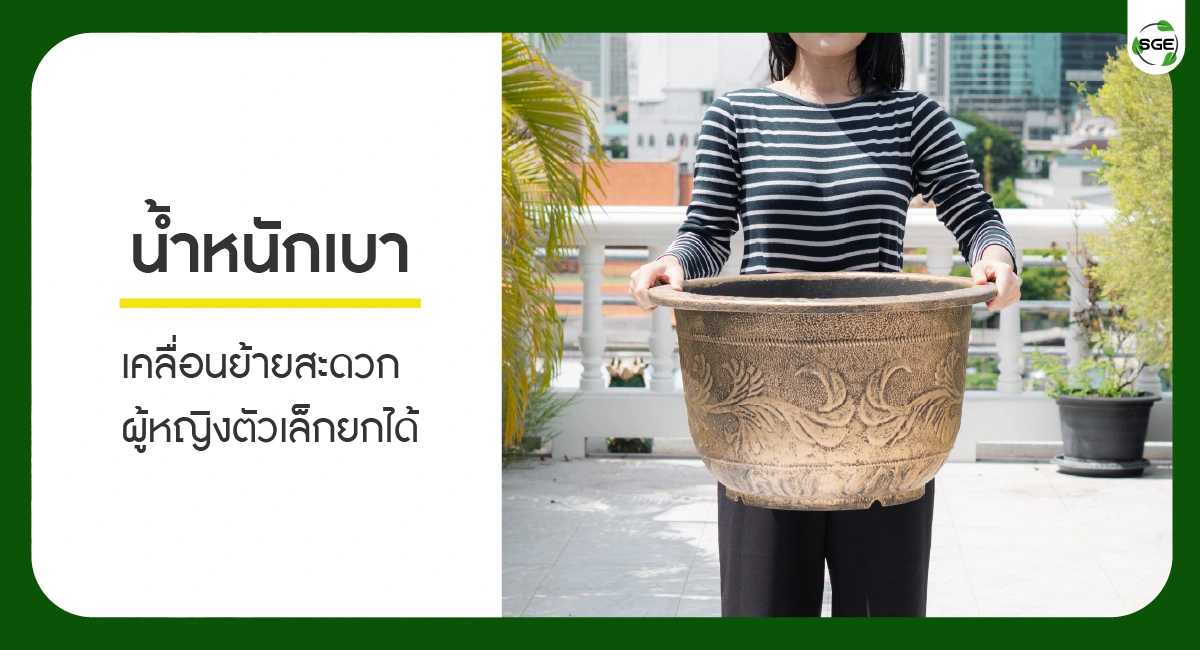 golden Dragon pot-feture07-100