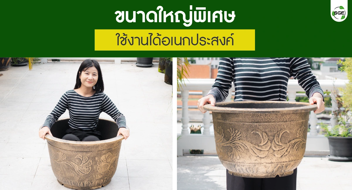 golden Dragon pot-feture08-100