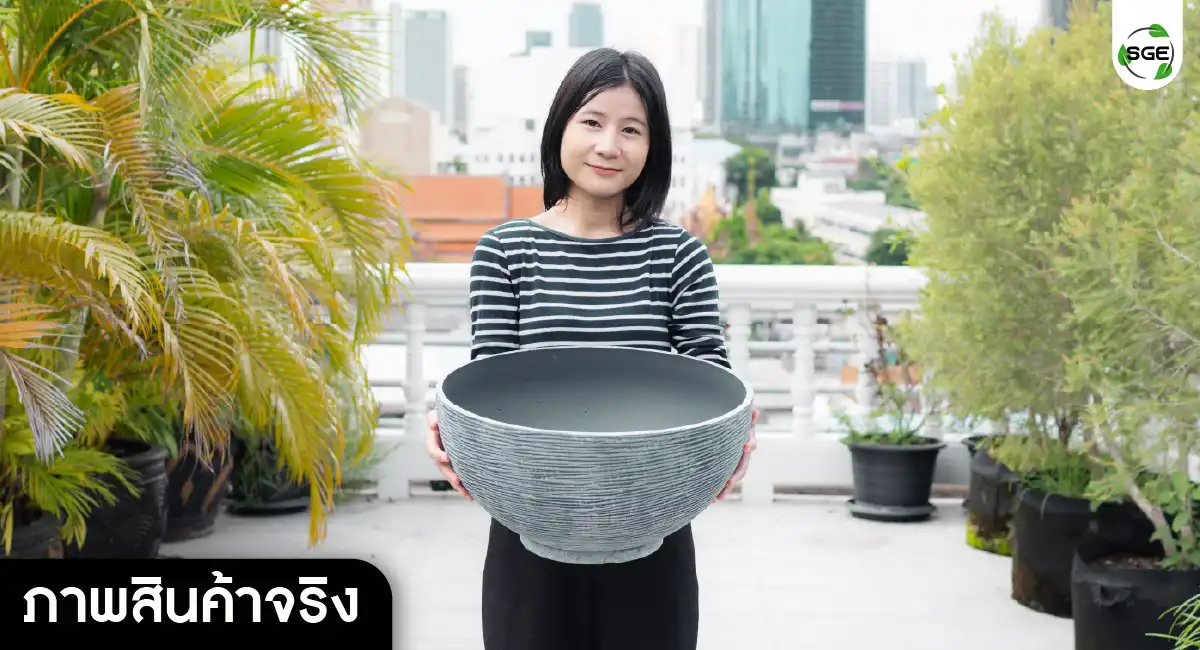 lotus pot-real product01-100