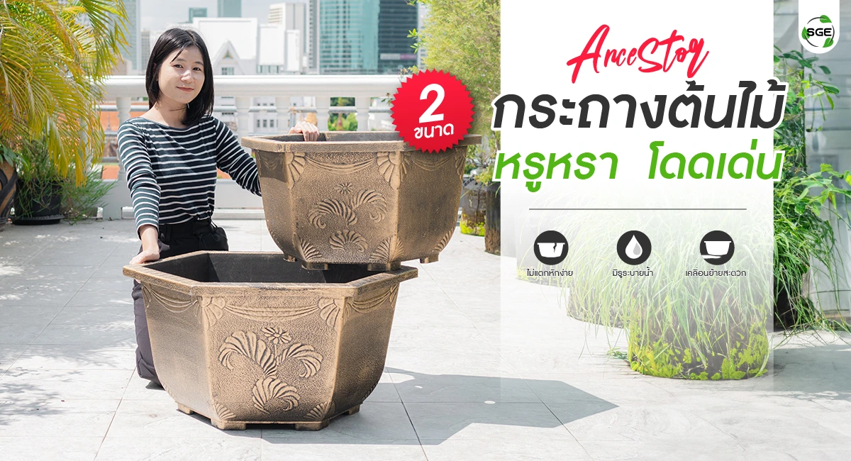 welcome banner - Ancester01-100