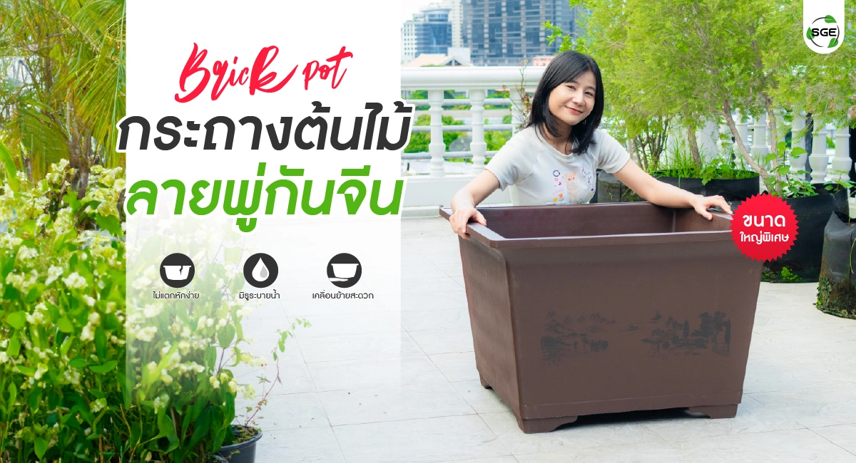 welcome banner - brick pot-100