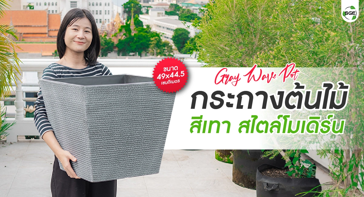 welcome banner-gray wave pot-100