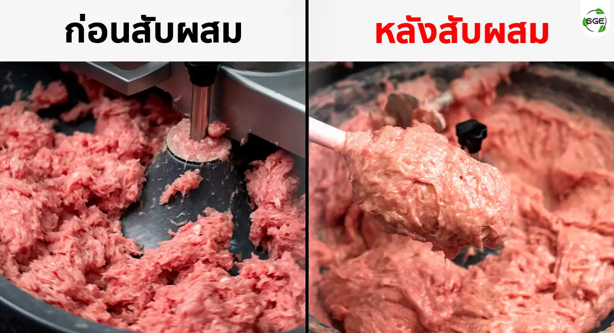 ภาพก่อน และหลังใช้งาน เครื่องสับผสมอาหาร 5 ลิตร