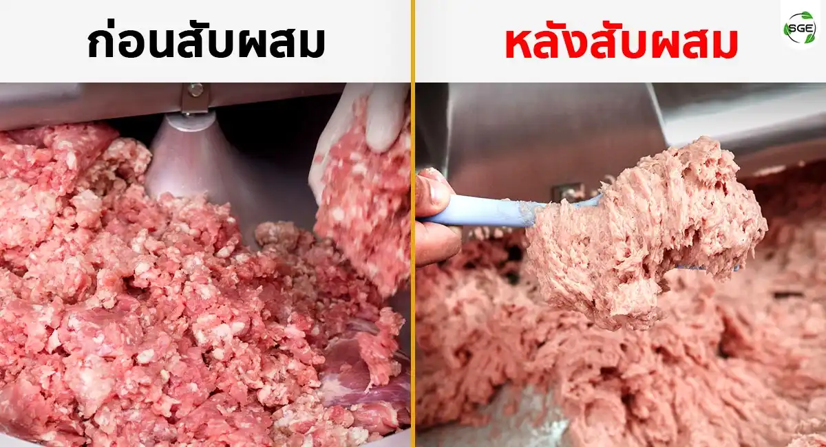 เครื่องสับผสม-BWC60-Bf-AF เครื่องสับผสมแบบกระทะ กระทะสับผสม 