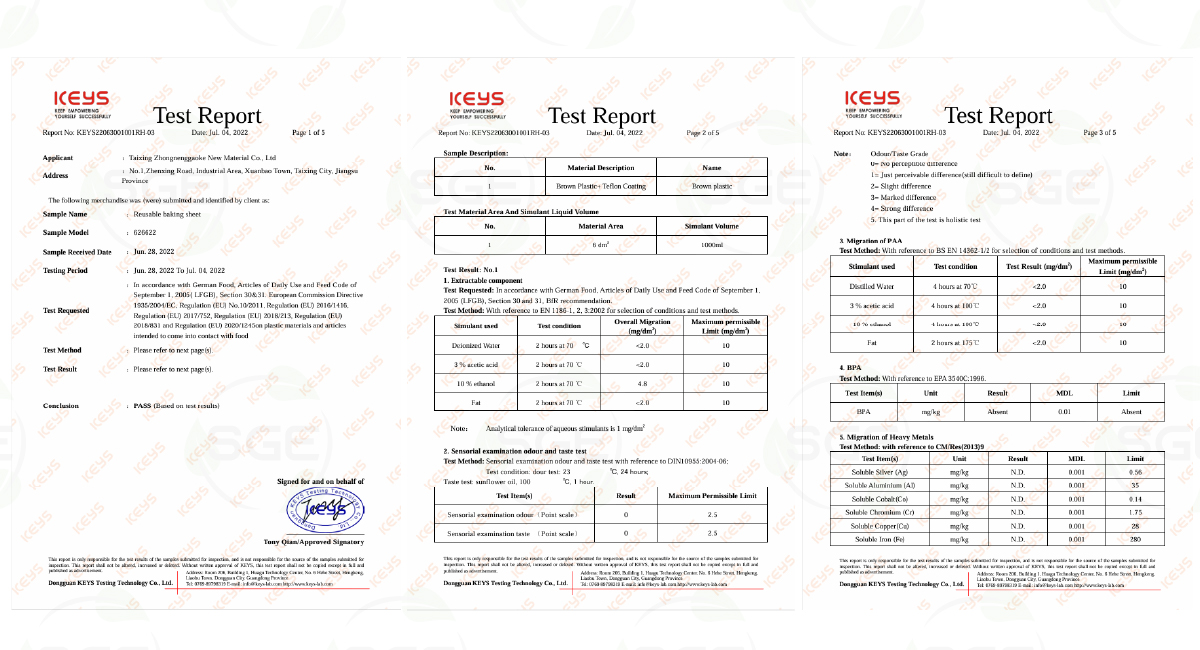 Certificate-PPT-100