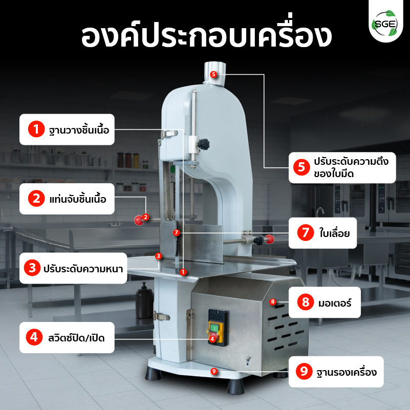 Feture-MB-Feture-MB-BC21-19-NEW-04-100