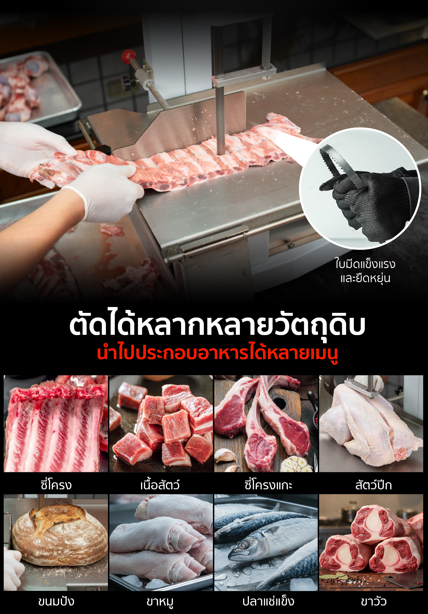 Feture-long-BC21-19 NEW-02-100