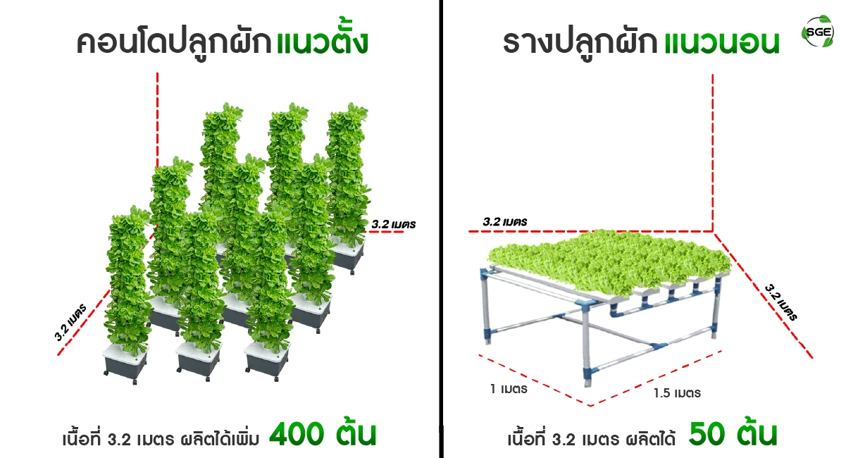 เปรียบเทียบ คอนโดปลูกผักแนวตั้ง ชุดปลูกผักแนวตั้ง ไฮโดรโปนิกส์ และ รางปลูกผักแนวนอน