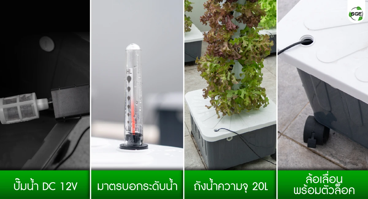 คอนโดปลูกผักแนวตั้ง ชุดปลูกผักแนวตั้ง ไฮโดรโปนิกส์ มีอุปกรณ์ครบเซ็ต พร้อมใช้งานทันที