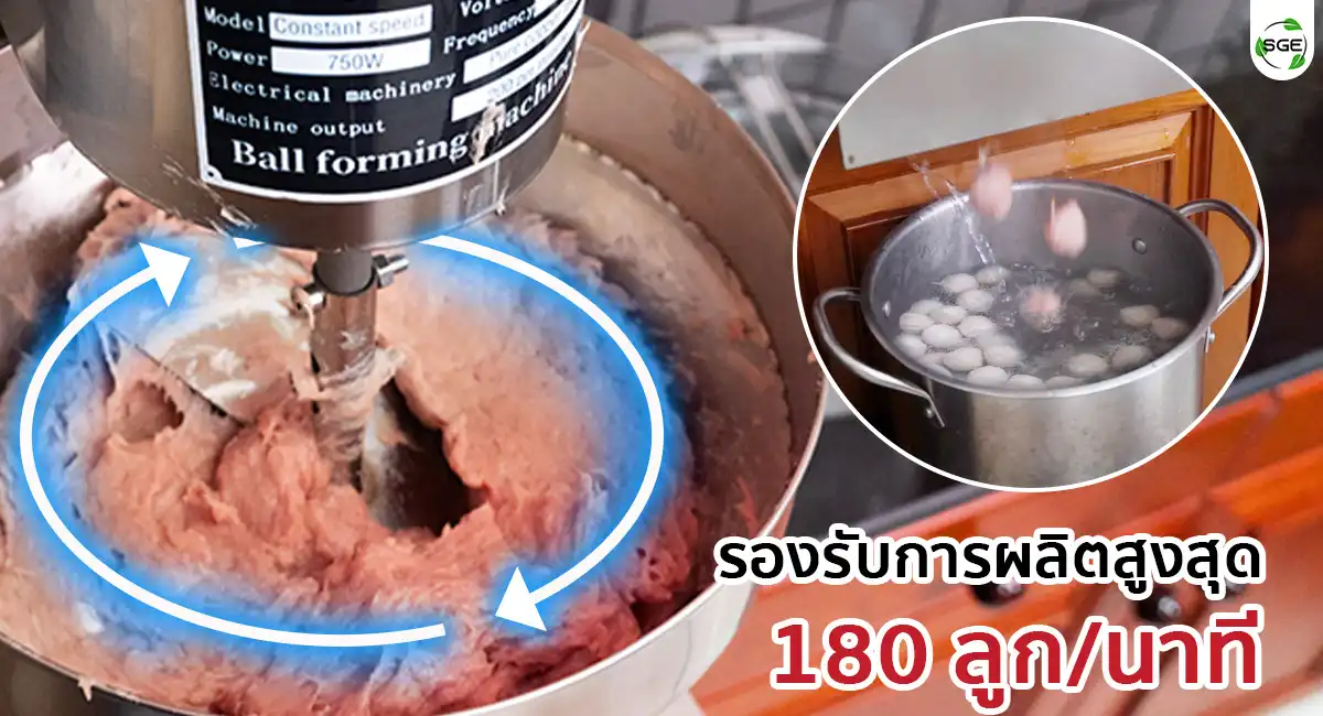  เครื่องปั้นลูกชิ้นตั้งโต๊ะ บีบลูกชิ้นไว 180 ลูก/นาที