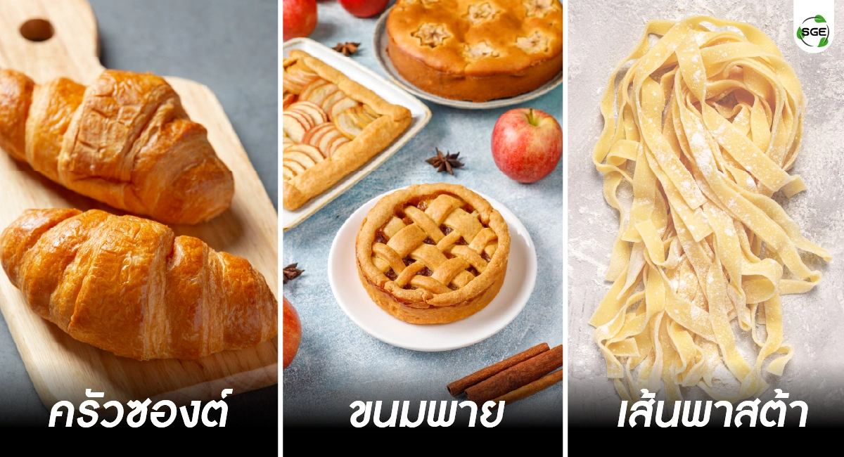 เครื่องรีดแป้งแบบตั้งโต๊ะ รีดแป้งได้ทุกประเภท