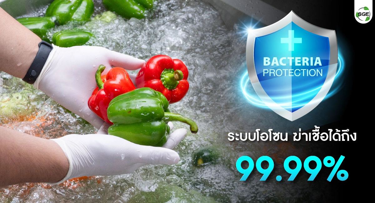 ระบบโอโซน ฆ่าเชื้อได้ถึง 99.99%