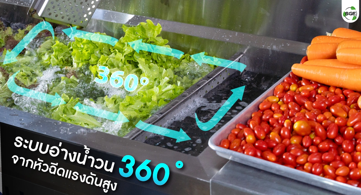 เครื่องล้างผัก เครื่องล้างผักผลไม้ ระบบอ่างน้ำวน 360 องศา