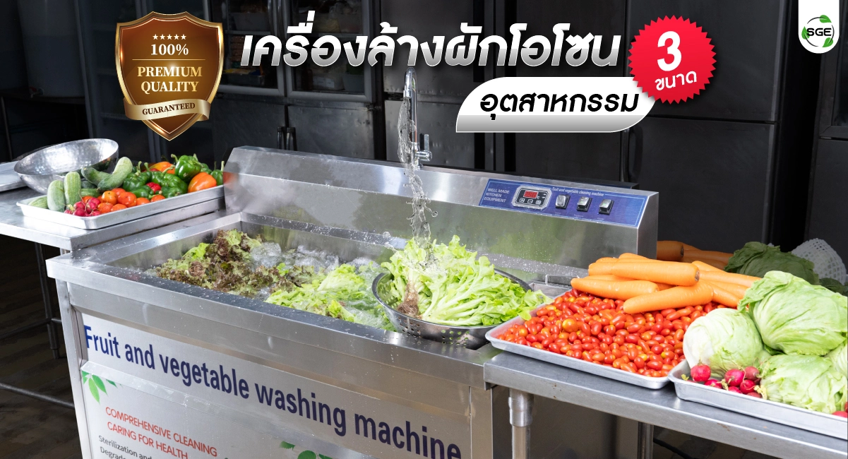 เครื่องล้างผัก เครื่องล้างผักผลไม้