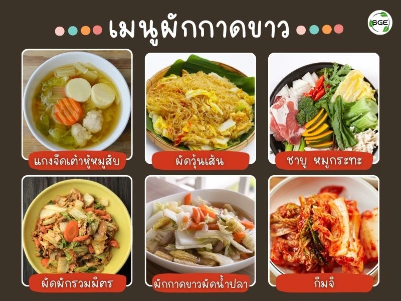 ผักกาดขาว ทำอะไรได้บ้าง