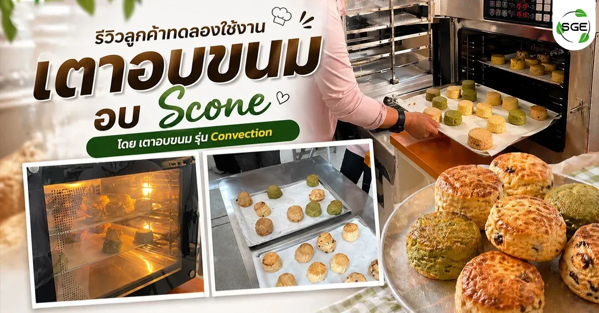ลูกค้าทดลองอบ Scone ด้วยเตาอบ Convection ลูกค้าทดลองอบ Scone ด้วยเตาอบ Convection