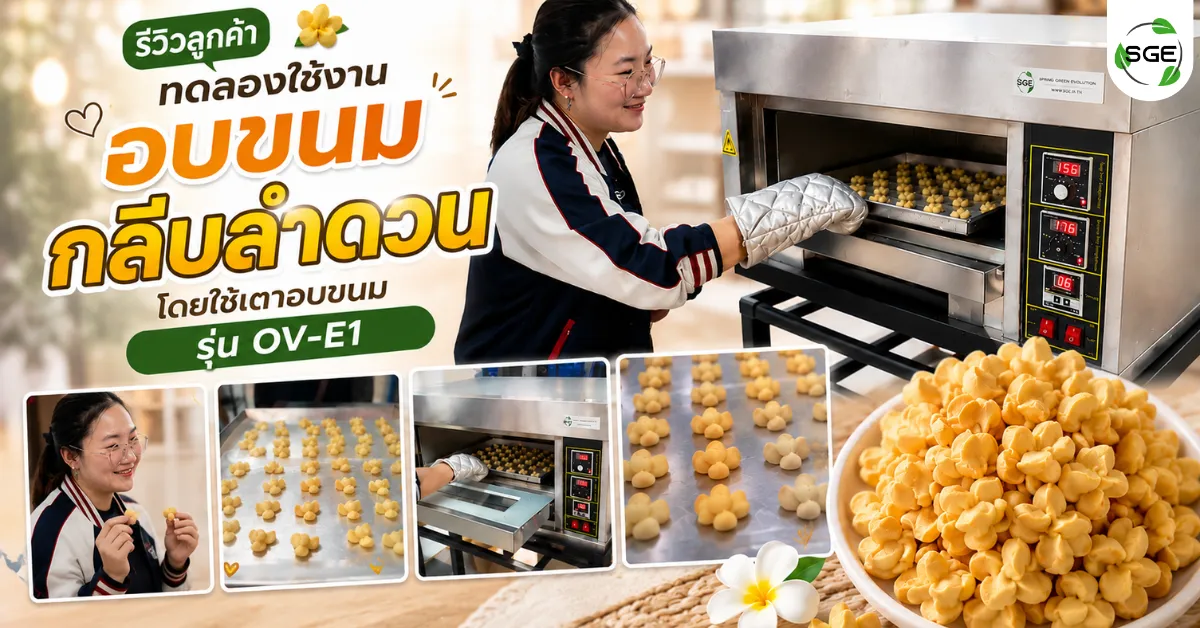 ลูกค้าทดลองอบขนมกลีบลำดวน ด้วยเตาอบไฟฟ้า รุ่น OV-E1 ลูกค้าทดลองอบขนมกลีบลำดวน ด้วยเตาอบไฟฟ้า รุ่น OV-E1