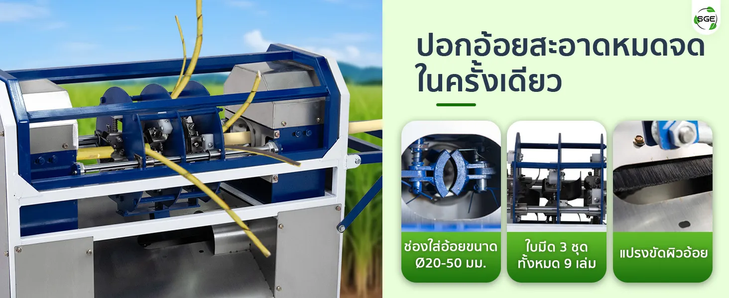 เครื่องปอกอ้อย เครื่องปอกอ้อยไฟฟ้า ใบมีดสามชุด ปอกสะอาด