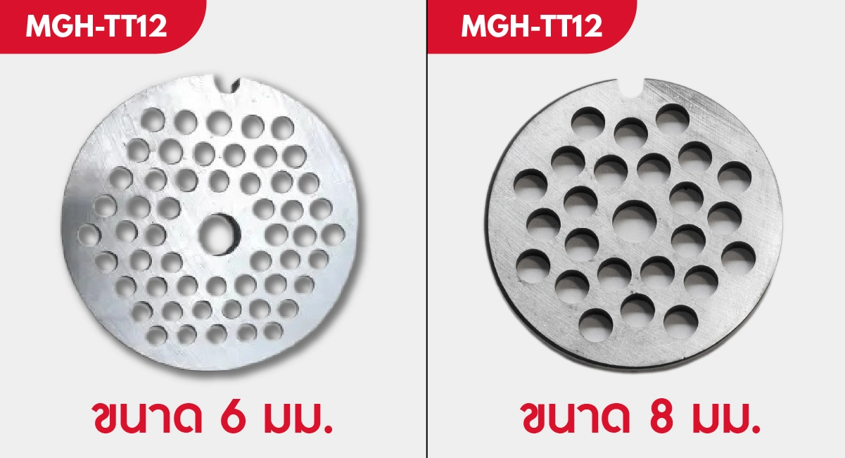 MGH-TT12-100