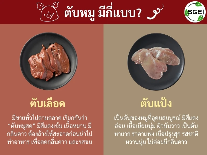 ตับหมูมีกี่แบบ วิธีล้างตับหมู ล้างตับหมู