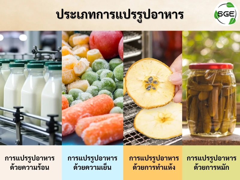 ประเภทการแปรรูปอาหาร